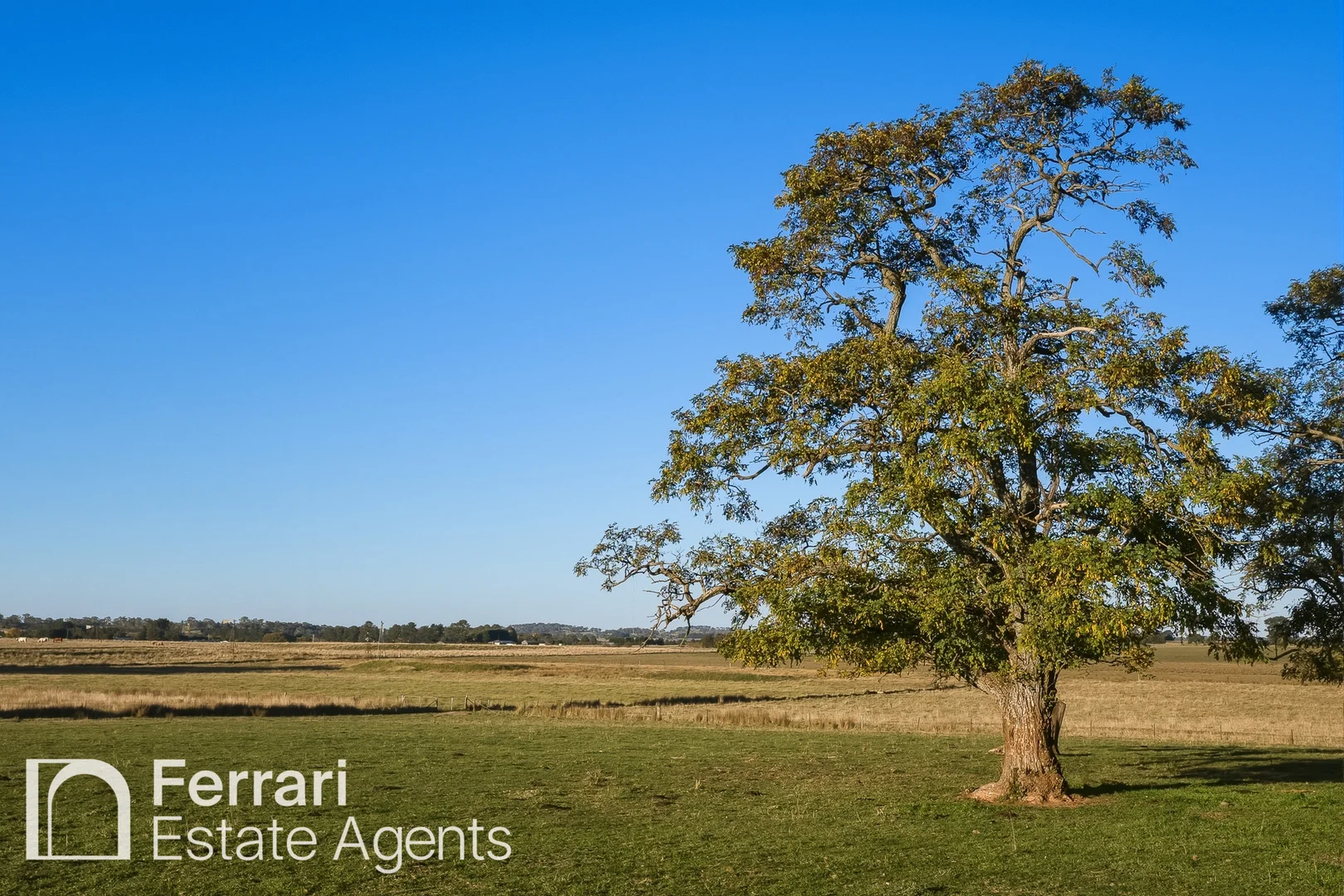 Additional image 49 of 125 Burtons Lane, Orange NSW 2800