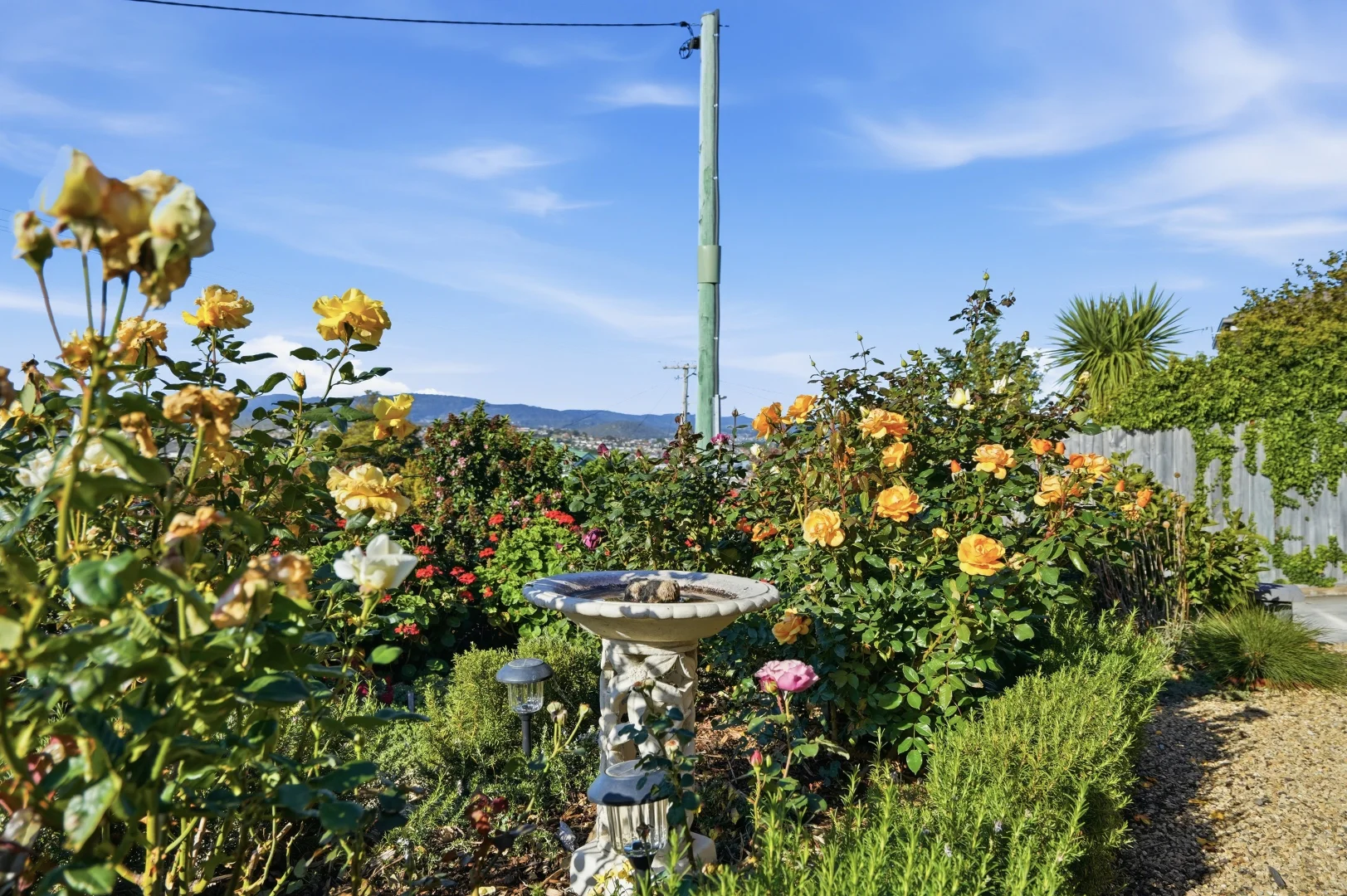 Additional image 31 of 1/39 Milton Crescent, Moonah TAS 7009