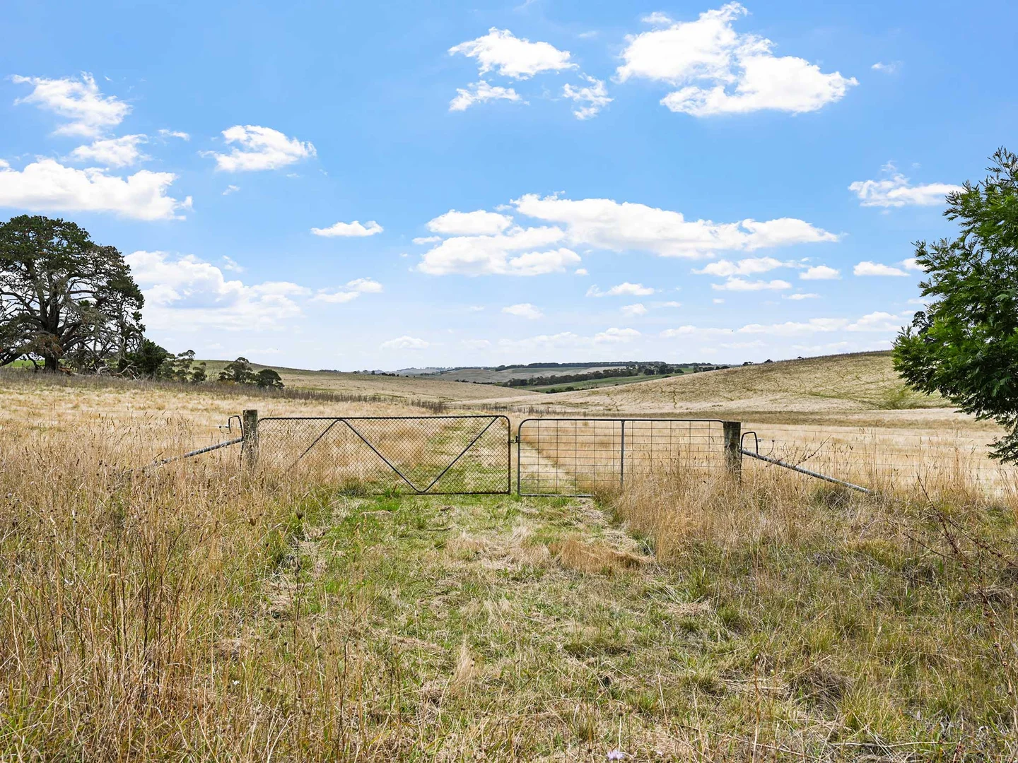 Additional image 2 of 4231 Dartmoor-Hamilton Road, Grassdale VIC 3302