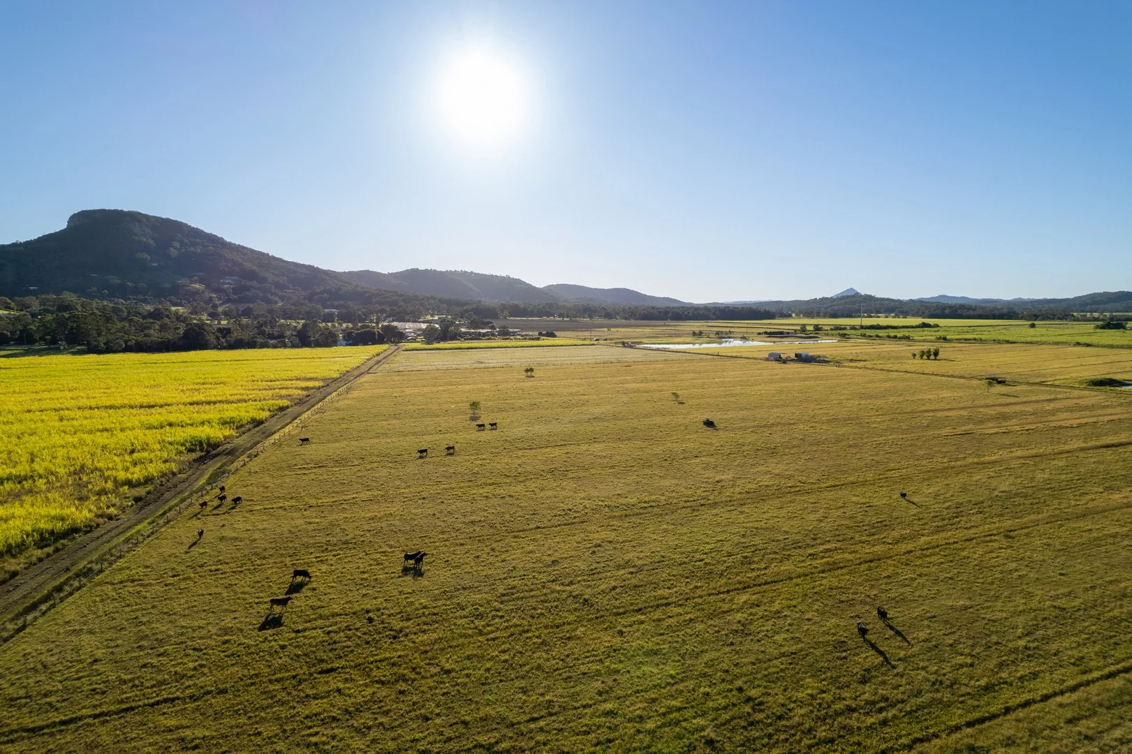 Additional image 4 of 54-64 Dynes Road, Valdora QLD 4561