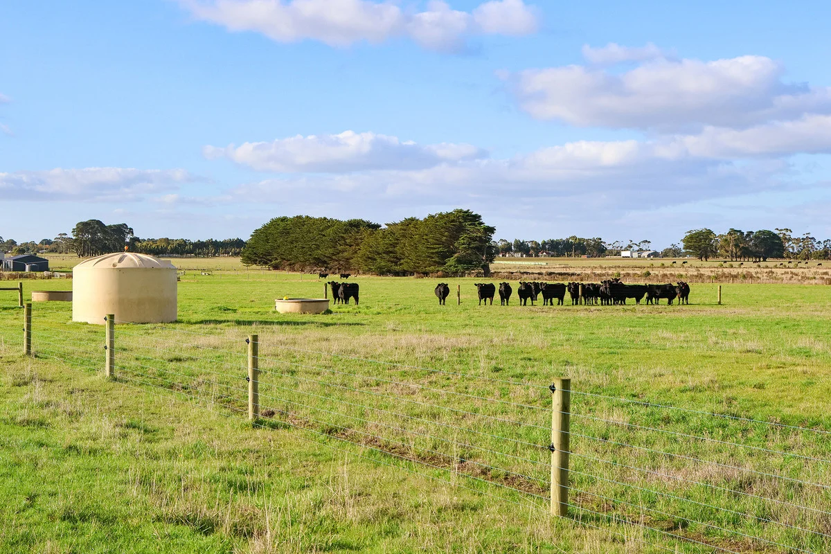 59 Gapes Road, Winslow VIC 3281 photo 3
