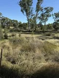 Additional image 7 of 16 Taylor Street, Warra QLD 4411