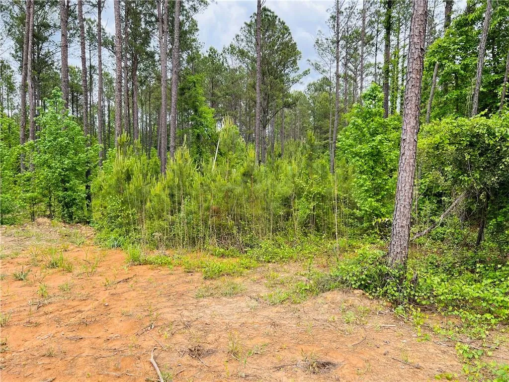 Additional image 8 of 332 Ridge Road, Seale, AL 36875