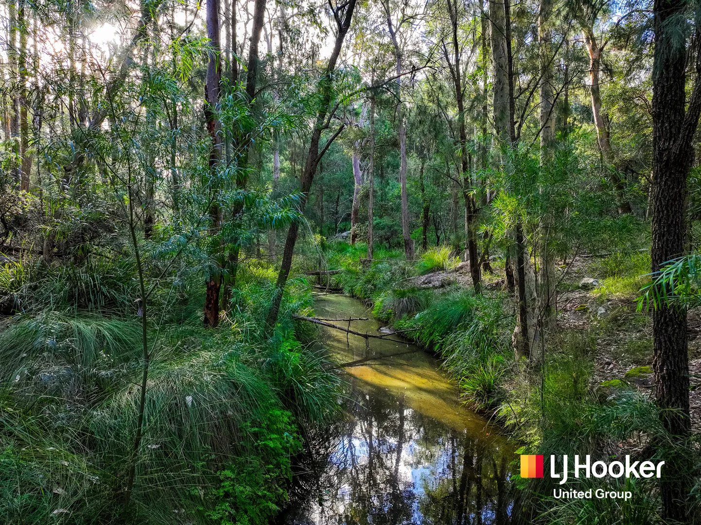 Additional image 25 of 150 Rapleys Loop Road, Werombi NSW 2570
