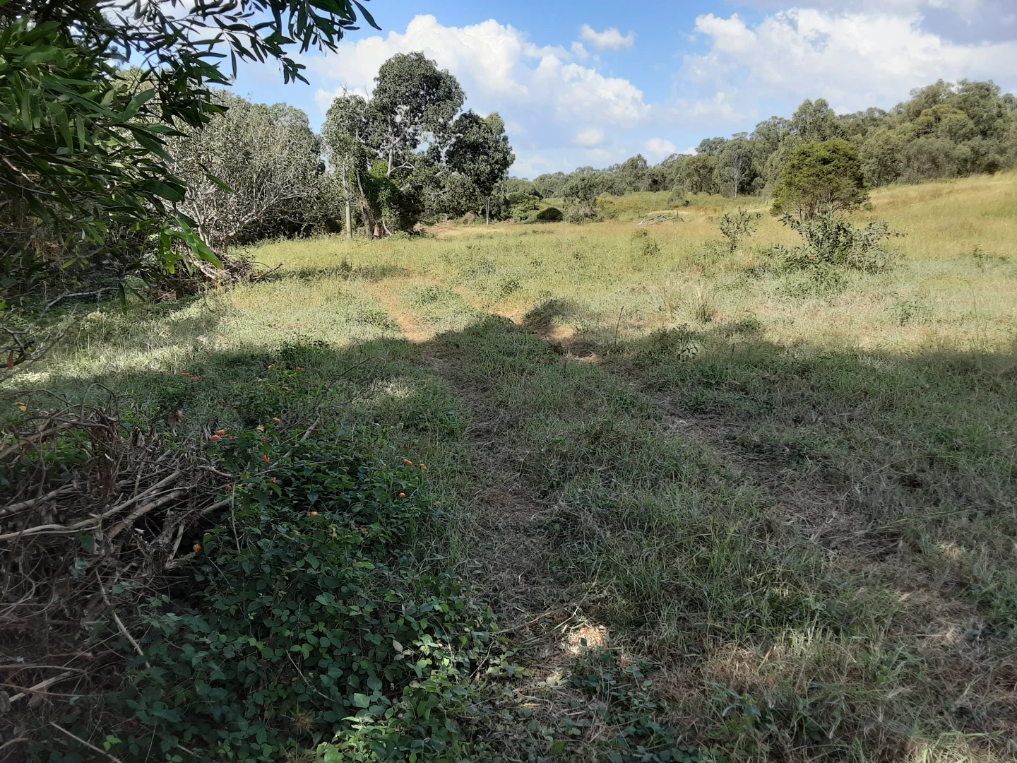 Additional image 19 of 120 Aplin Road, Bracewell QLD 4695