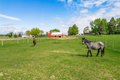 Additional image 49 of 10160 Cemetery Rd, Pecatonica, IL, 61063