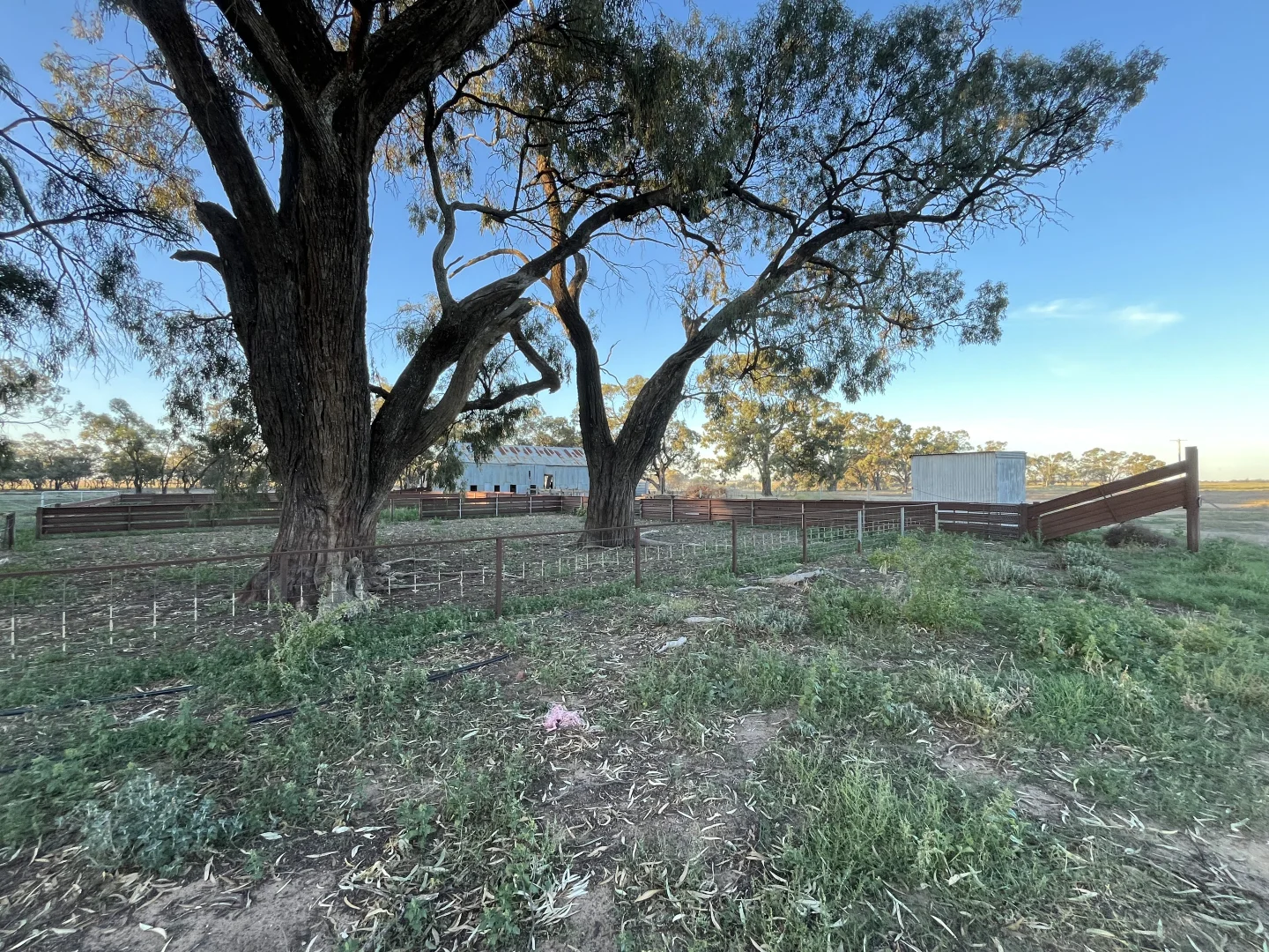 Additional image 28 of "Devon" Devon Road, Deniliquin NSW 2710