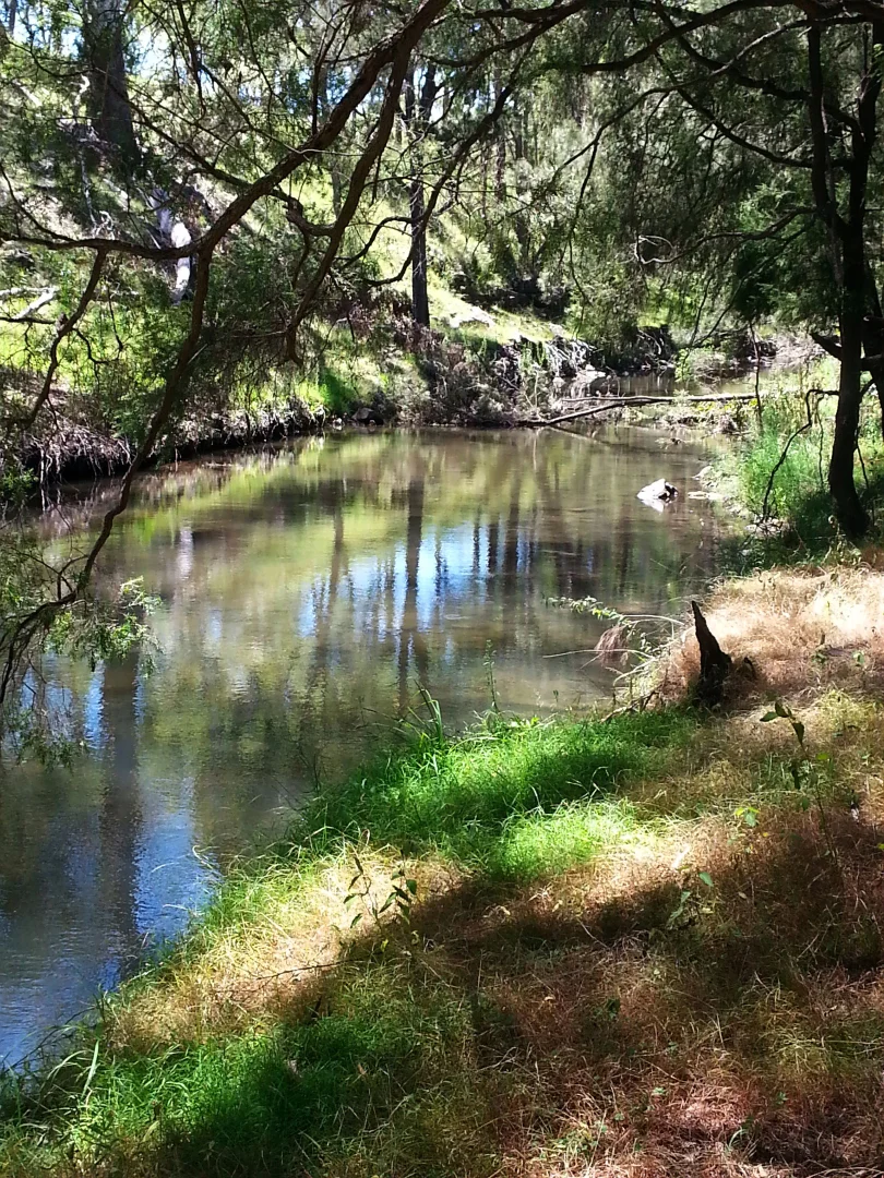 North Branch QLD 4370 photo 4