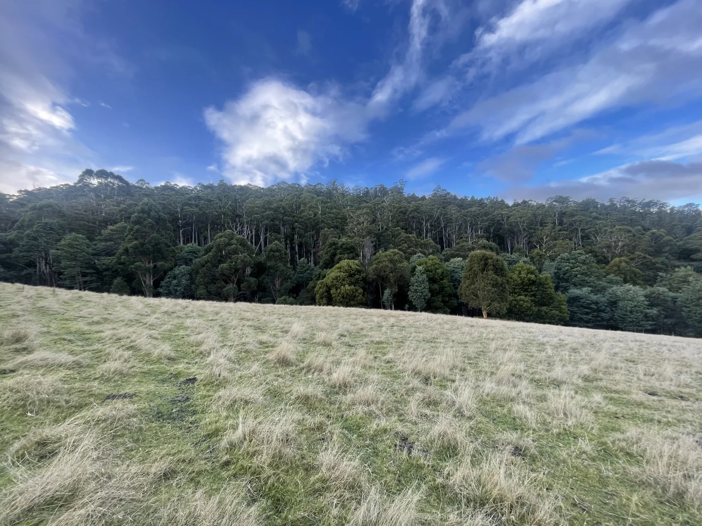 Additional image 16 of 1206 Ellendale Rd, Ellendale TAS 7140