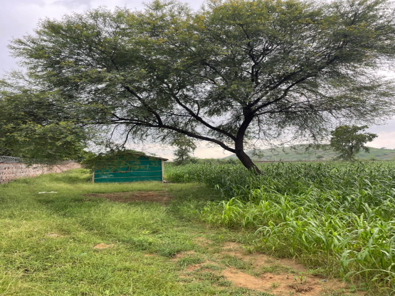 Naugaon, Alwar photo 2