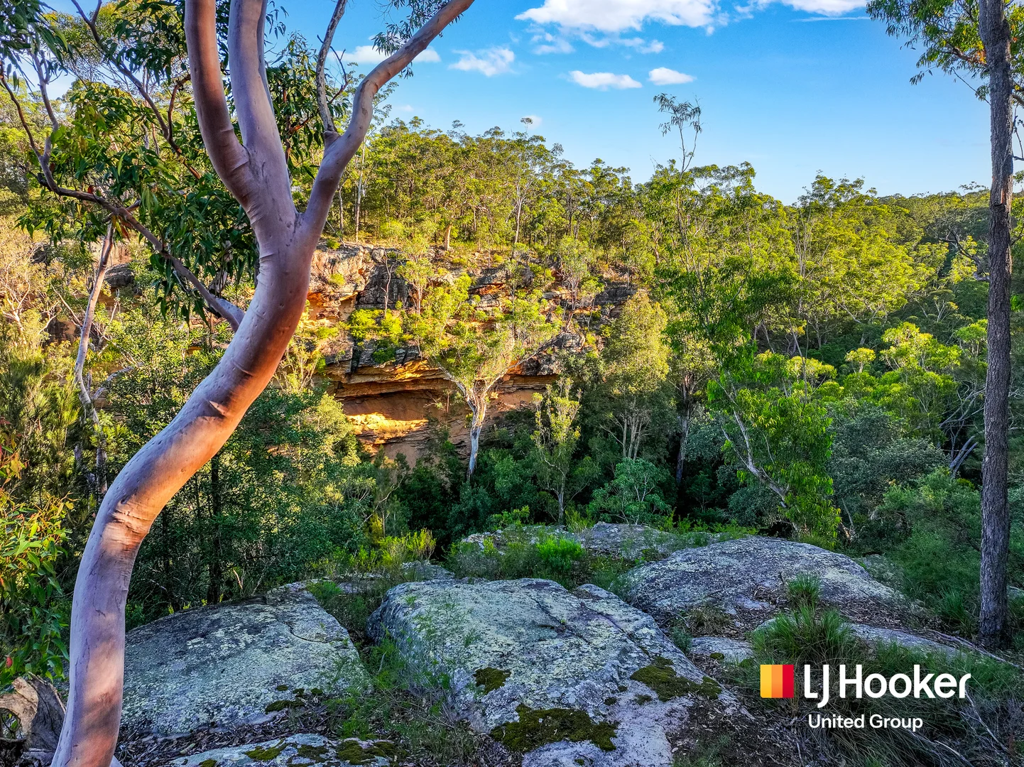 Additional image 26 of 150 Rapleys Loop Road, Werombi NSW 2570