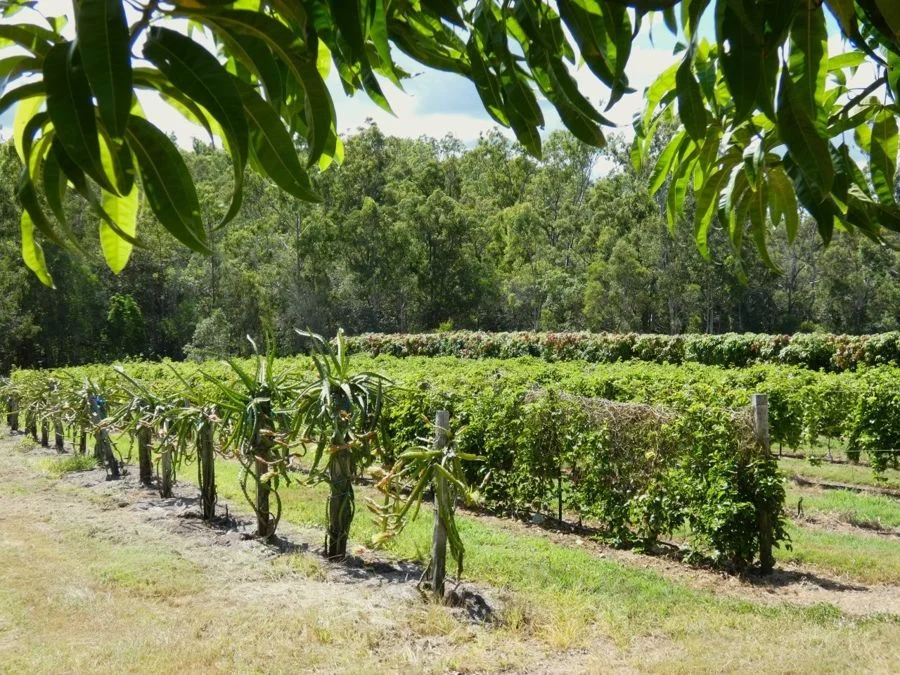 Additional image 30 of 86 Simpsons Road, Bullyard QLD 4671