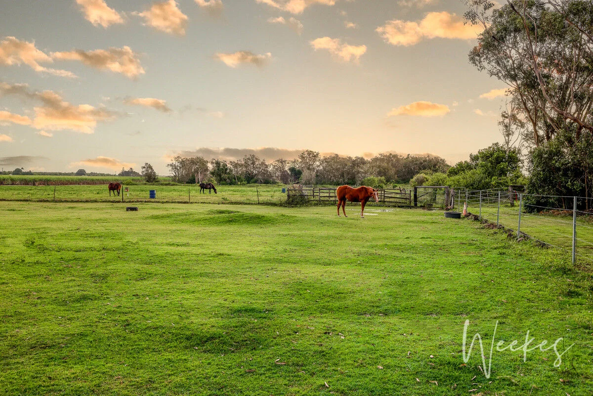 42 Kleins Road, Woongarra QLD 4670 photo 3