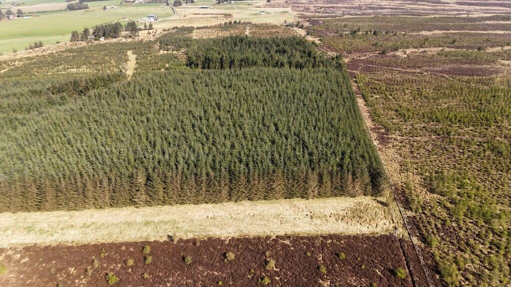 Additional image 6 of Lot 1 Woodland at Broadmuir, Hill of Fisherie, Turriff, AB53 5QL