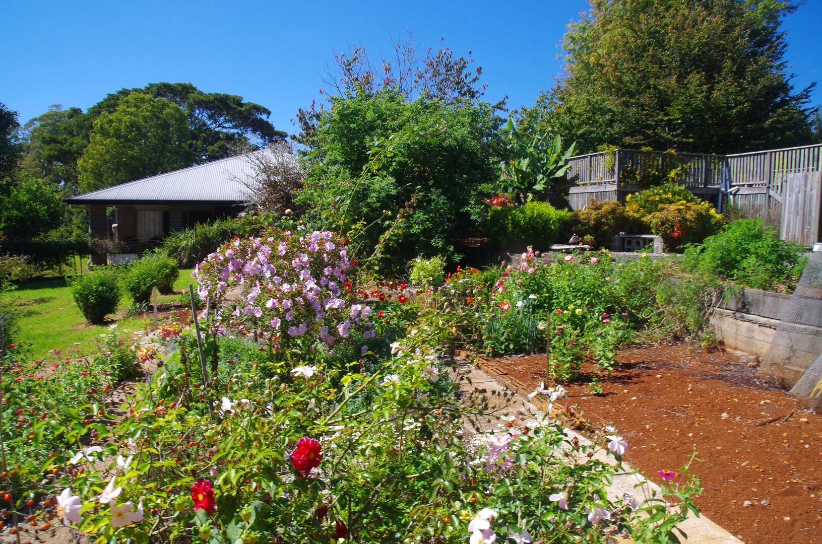 Additional image 4 of 29A Yuulong Road, Tamborine Mountain QLD 4272