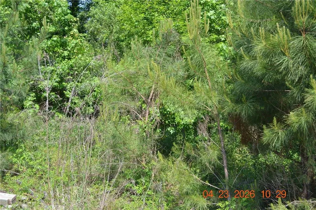 Additional image 5 of Sandfort Rd and 3rd St. South, Phenix City, AL 36867