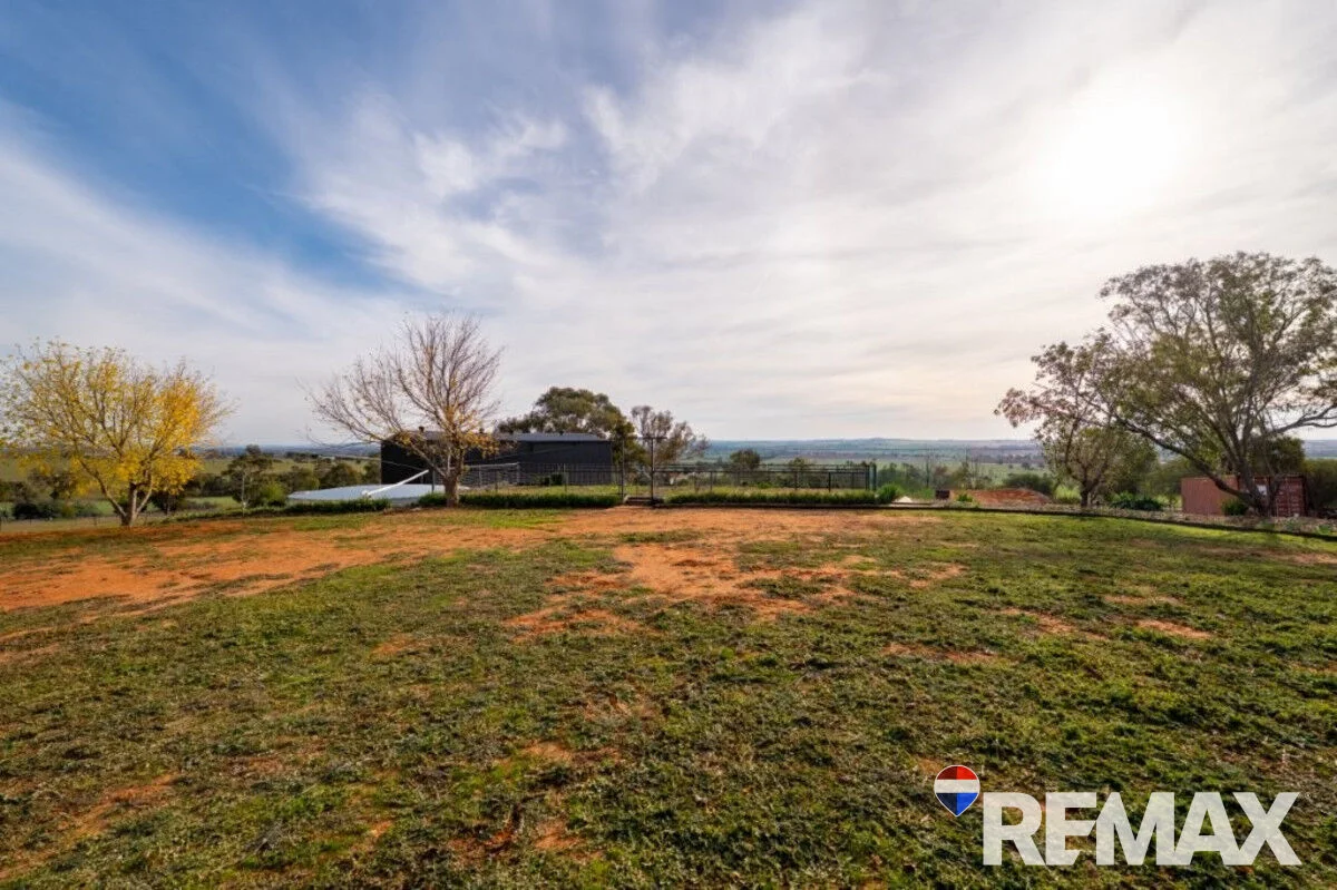 Additional image 21 of 3779 Olympic Highway, Junee NSW 2663