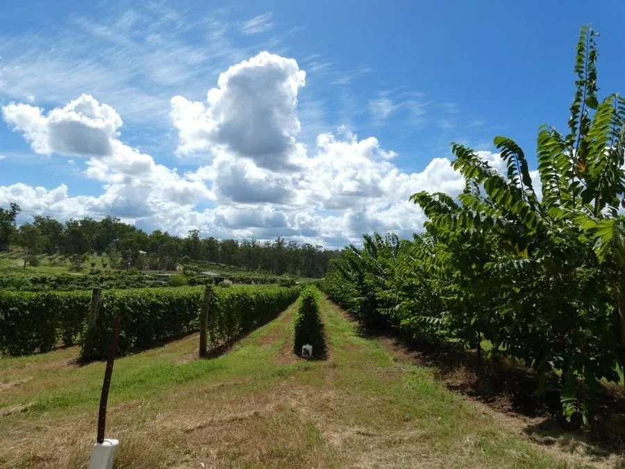 Additional image 32 of 86 Simpsons Road, Bullyard QLD 4671