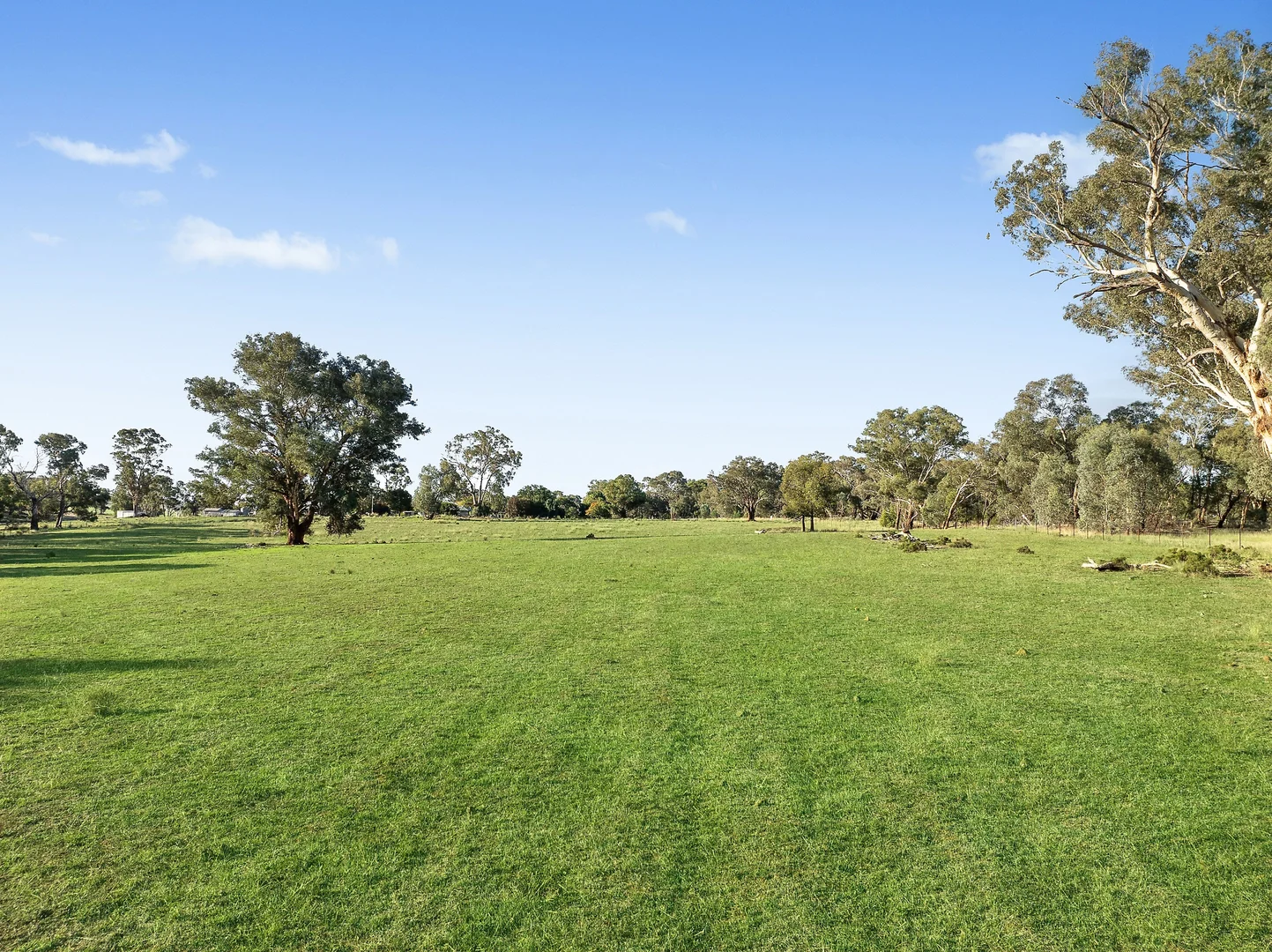 Additional image 16 of 384 Yellowbox Road, Manildra NSW 2865
