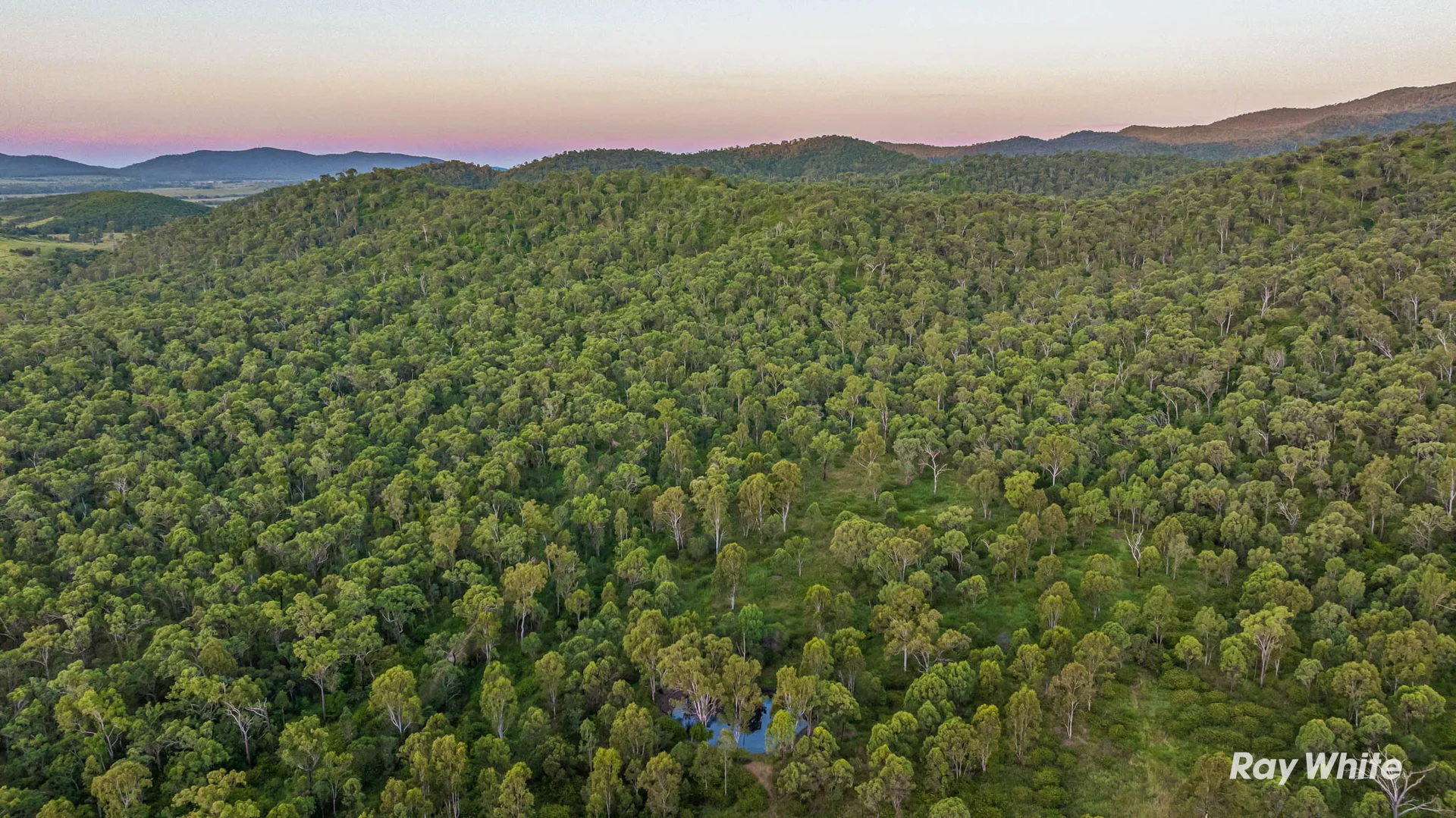 Additional image 22 of 217 Thompson Point Road, Nankin QLD 4701