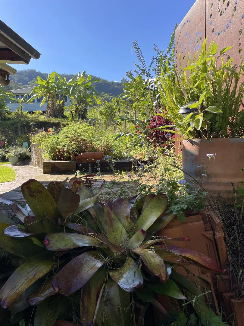 Additional image 30 of 2 Evelyn Way, Nimbin NSW 2480