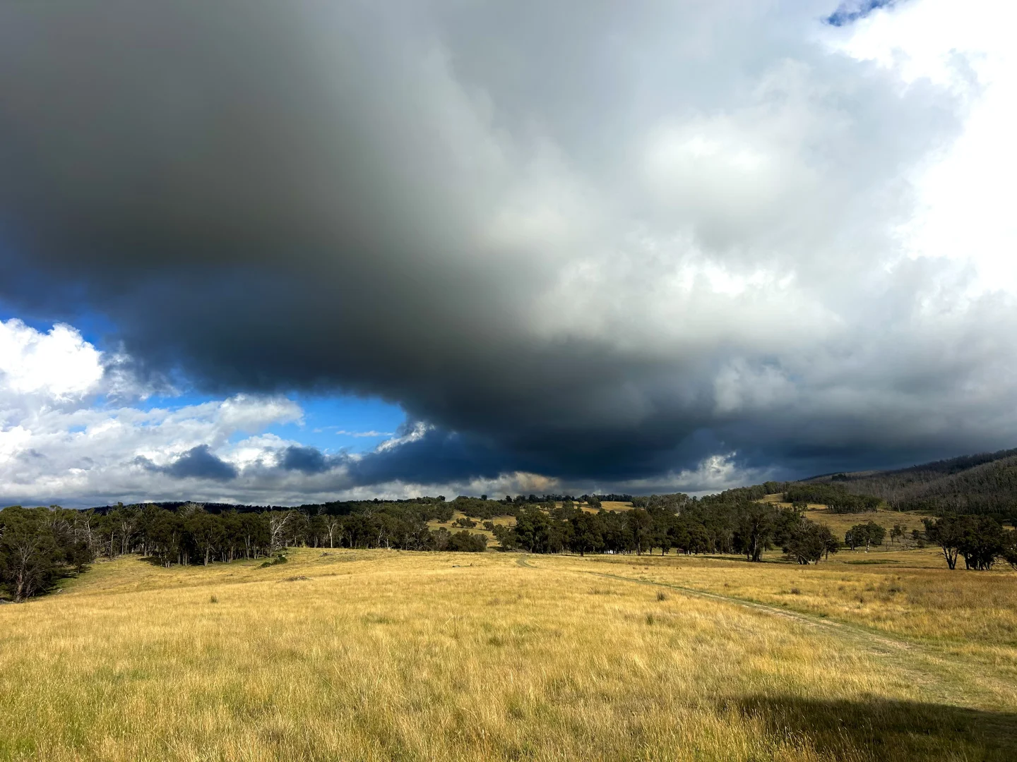 759 Whans Road, Guyra NSW 2365 photo 4