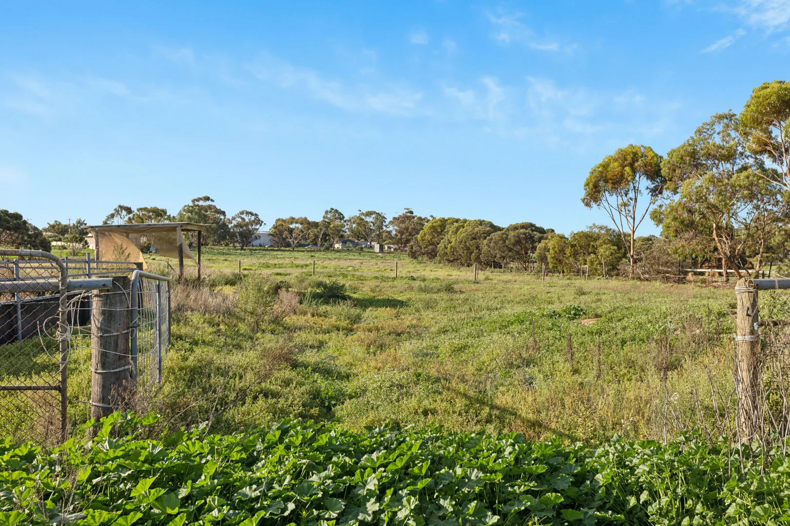Additional image 24 of 40 Old Swanport Road, Murray Bridge SA 5253