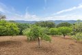 Additional image 50 of 120 Deer Meadow Ln, Portola Valley, CA, 94028