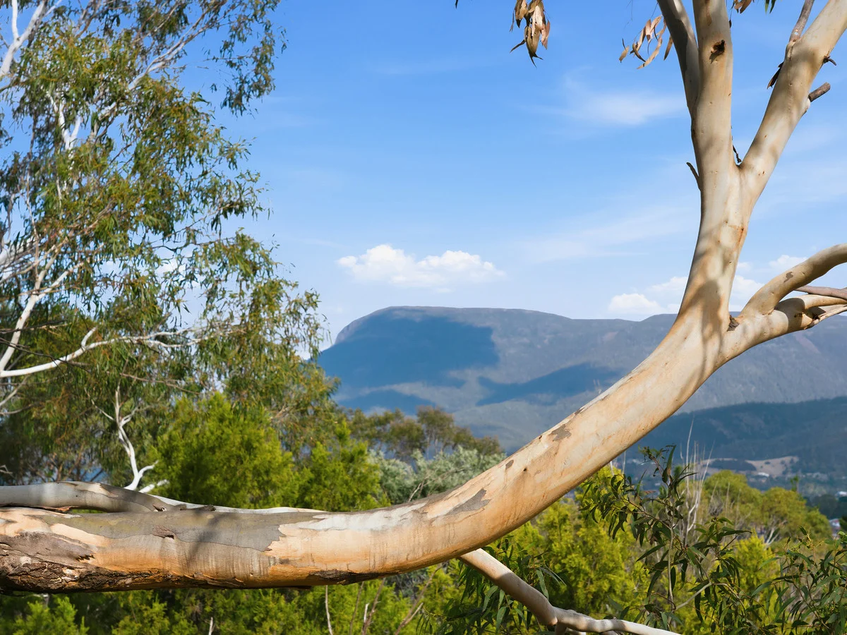 Additional image 30 of 18 Grevillea Avenue, Old Beach TAS 7017