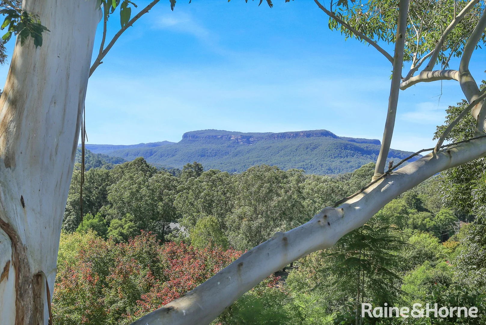 102 Moss Vale Road, Kangaroo Valley NSW 2577