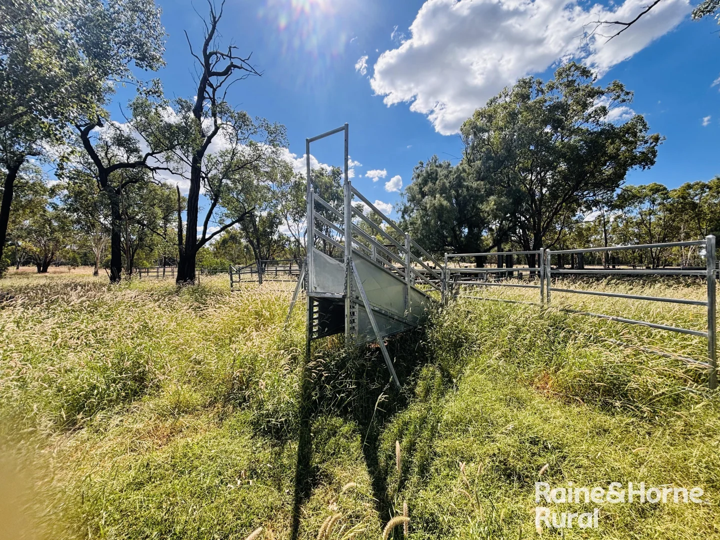 Additional image 19 of 640 Carrington Road, Roma QLD 4455