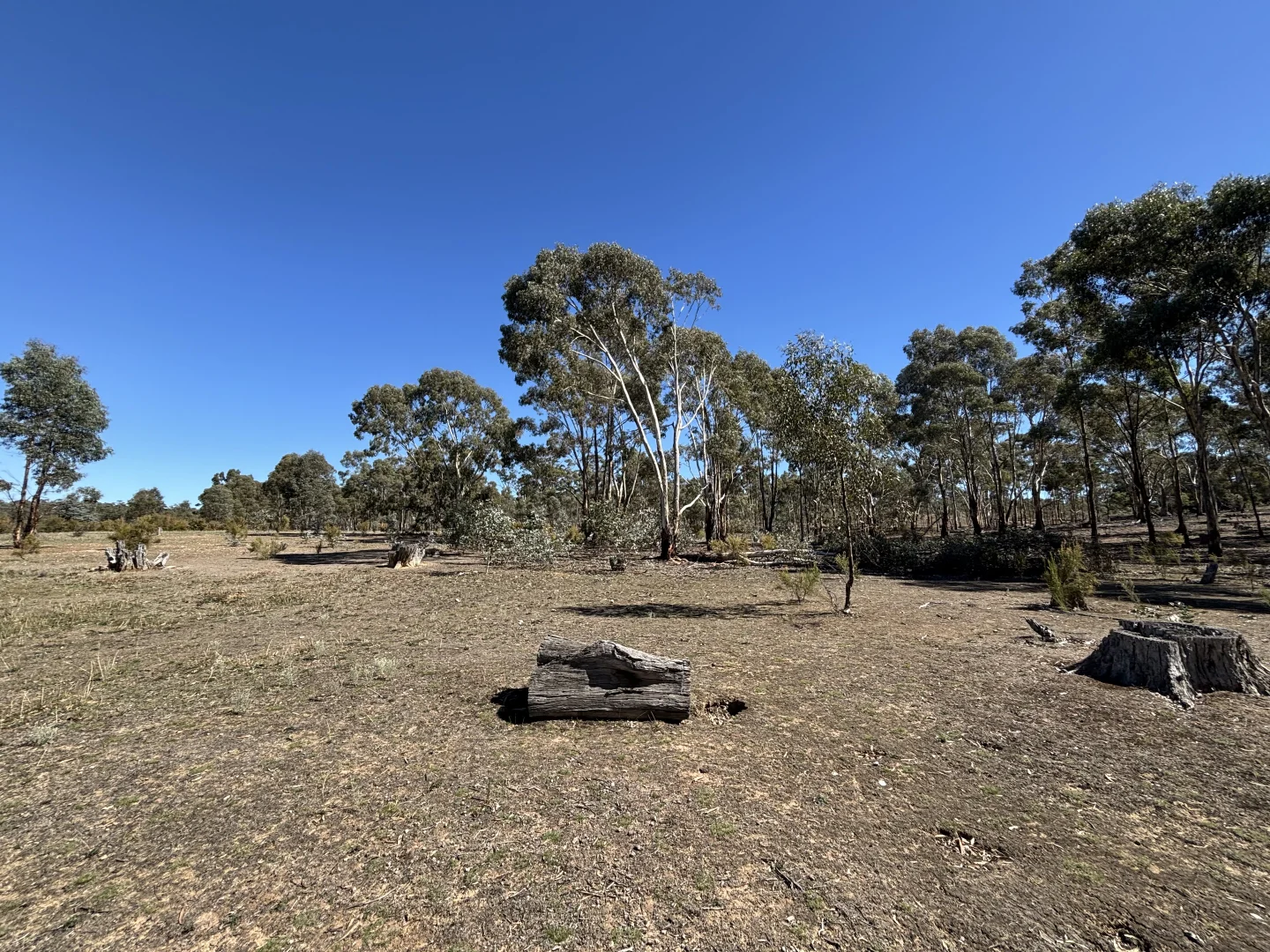Additional image 9 of 0 Bealiba - Rheola Road, McIntyre VIC 3472