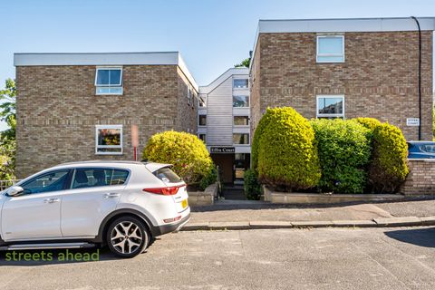 Homelands Drive, London SE19