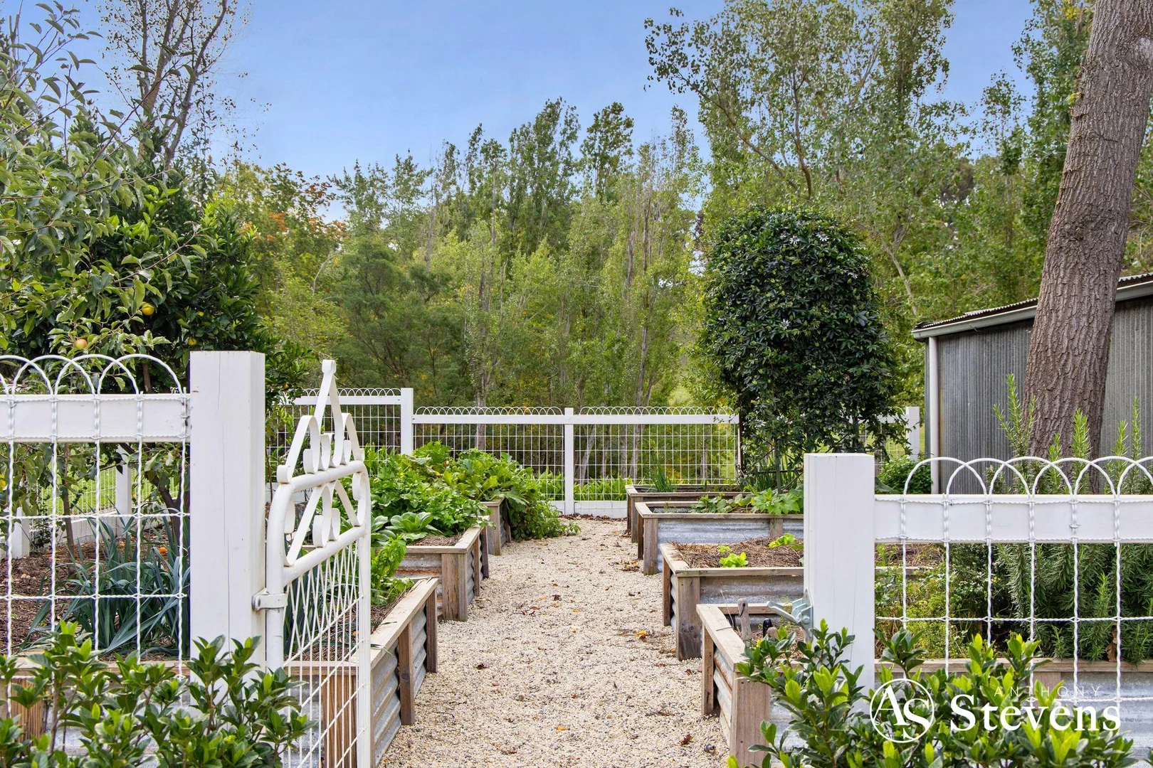 Additional image 4 of 805 Tooborac-Baynton Road, Tooborac VIC 3522