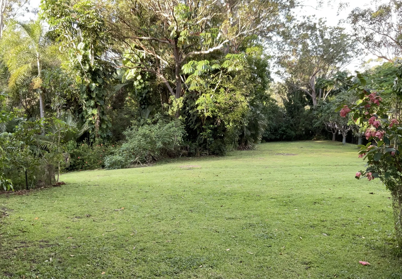 Additional image 17 of 1-7 Lakeside Drive, Tinaroo QLD 4872