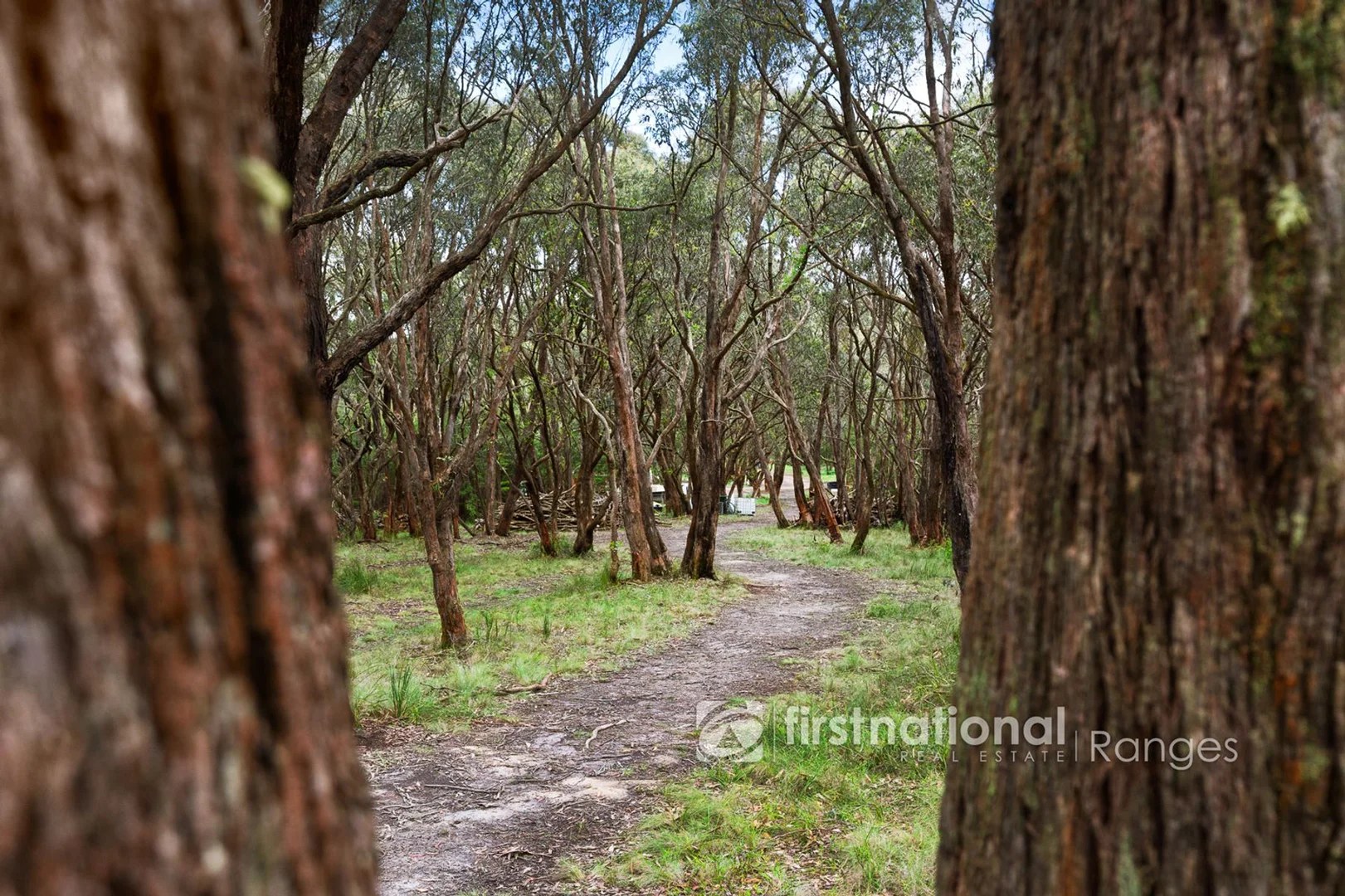 Additional image 6 of 50 Bedford Road, Cockatoo VIC 3781