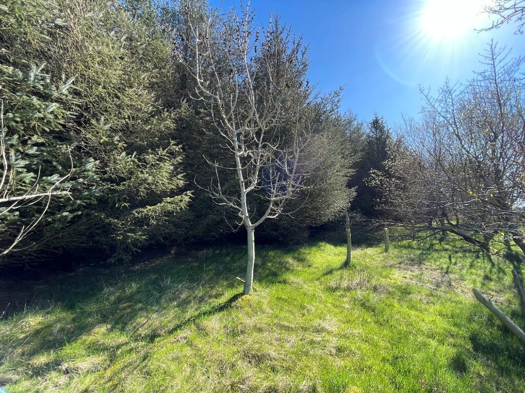 Additional image 17 of Lot 1 Woodland at Broadmuir, Hill of Fisherie, Turriff, AB53 5QL
