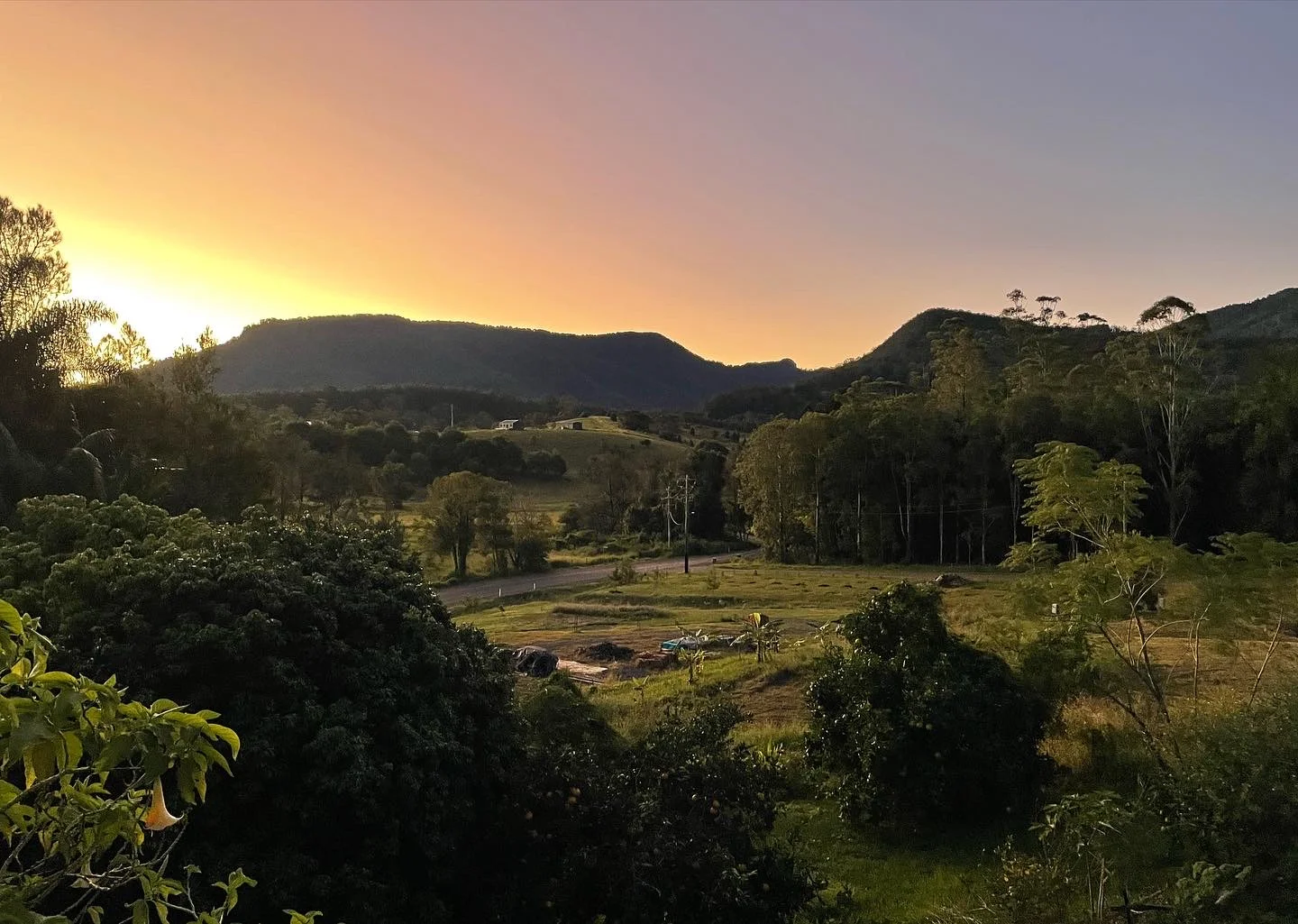 Additional image 4 of 2 Evelyn Way, Nimbin NSW 2480