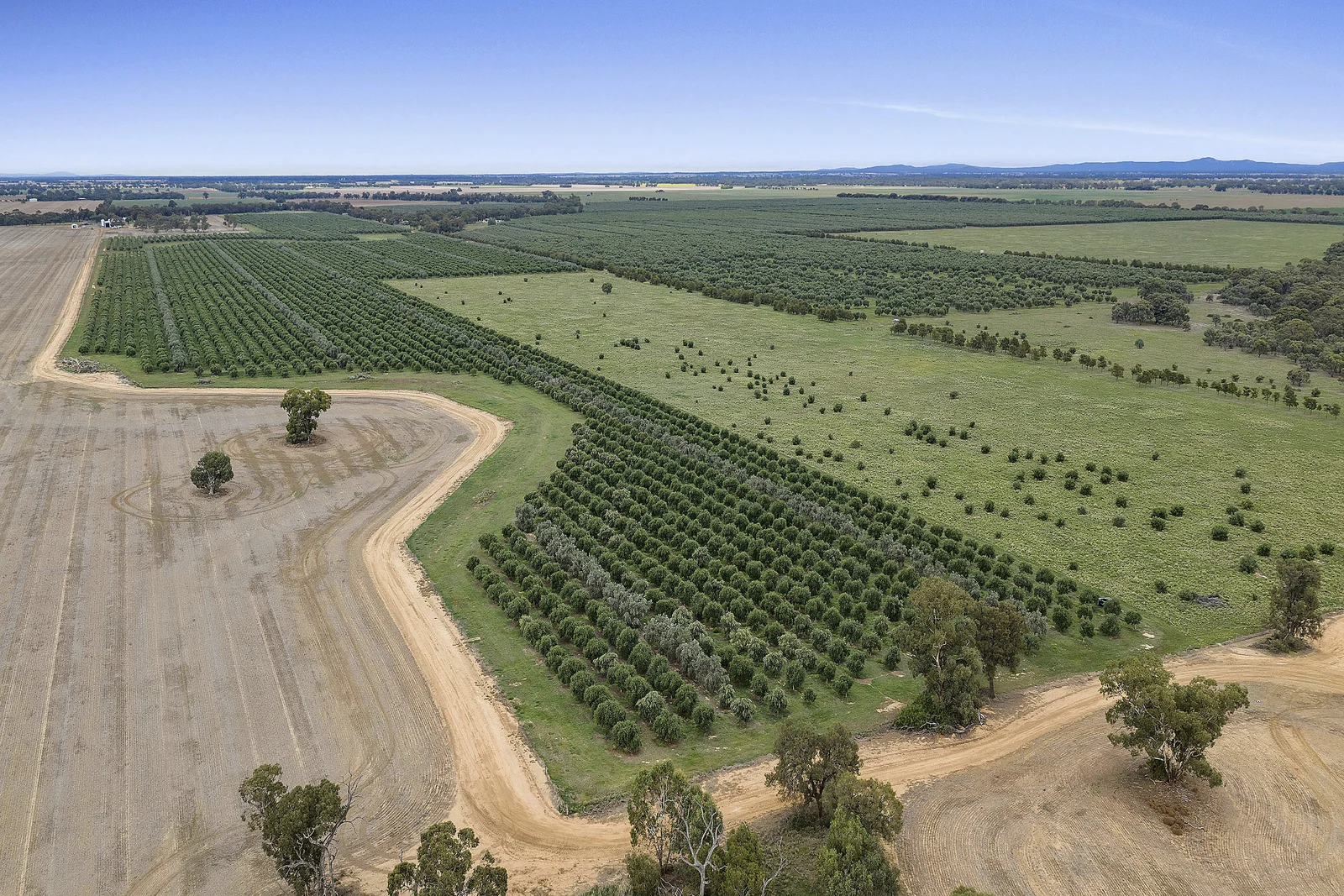 Additional image 5 of . Echuca Serpentine Road, Serpentine VIC 3517