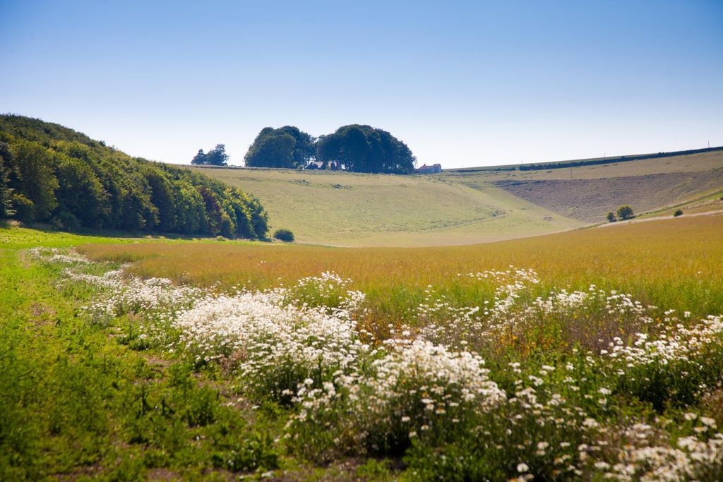Additional image 4 of Land for saleSutton Parva, Tytherington, Warminster, Wiltshire BA12