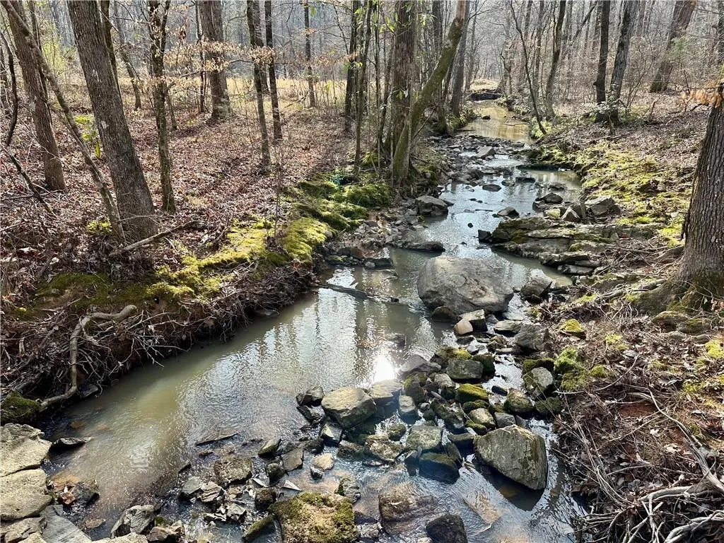 Additional image 5 of Lee Rd 278, Salem, AL 36874