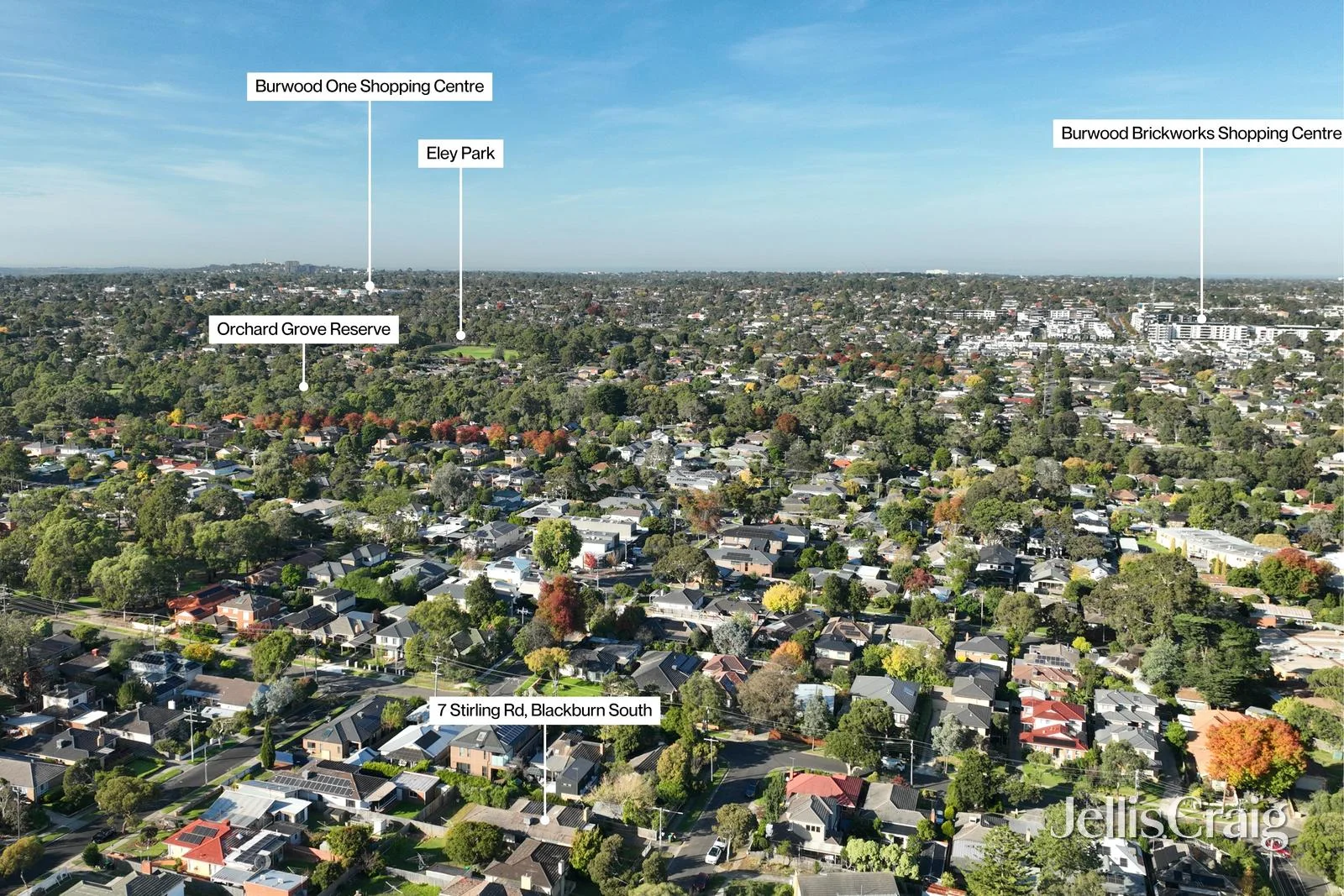 Additional image 10 of 7 Stirling Road, Blackburn South VIC 3130