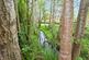 Additional image 19 of Queripel Close, Tunbridge Wells