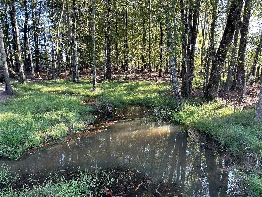 Lee Rd 334, Salem, AL 36874