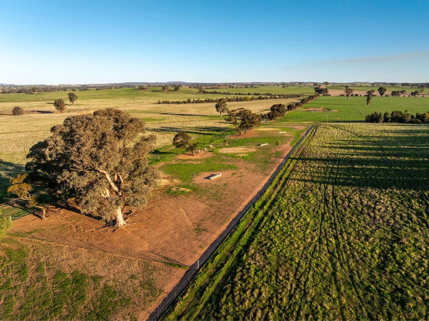 Additional image 14 of 261 Paper Forest Road, Mangoplah NSW 2652