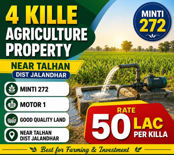 Jandu Singha, Jalandhar