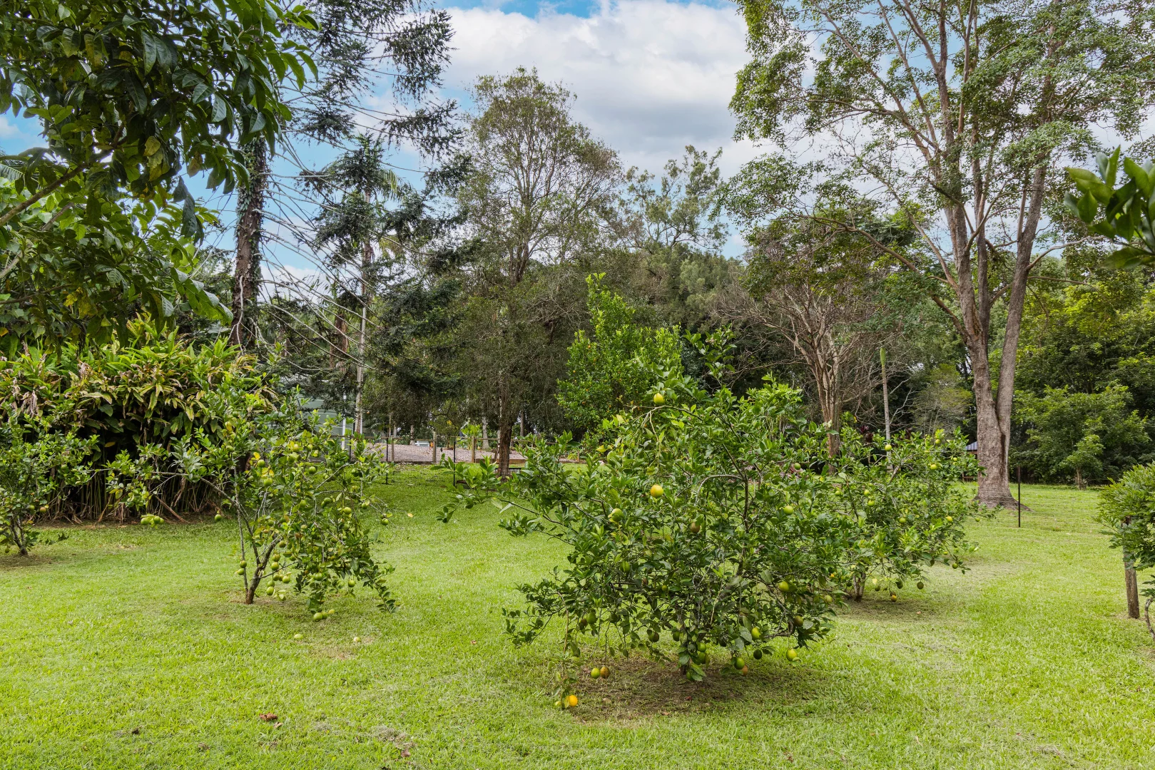 Additional image 11 of 15-31 Neeraway Road, Eerwah Vale QLD 4562