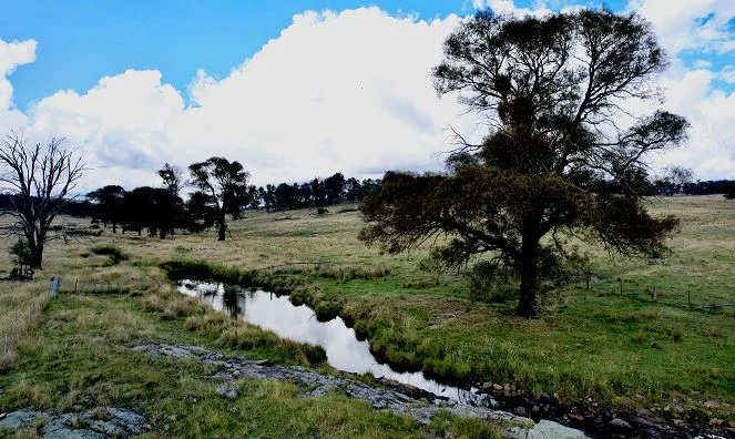 759 Whans Road, Guyra NSW 2365 photo 5