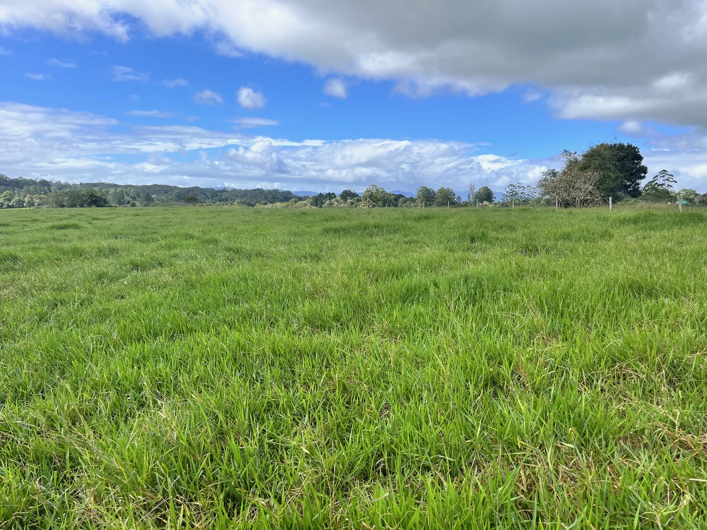 Additional image 12 of Lot 2 Lake Barrine Road, Lake Eacham QLD 4884