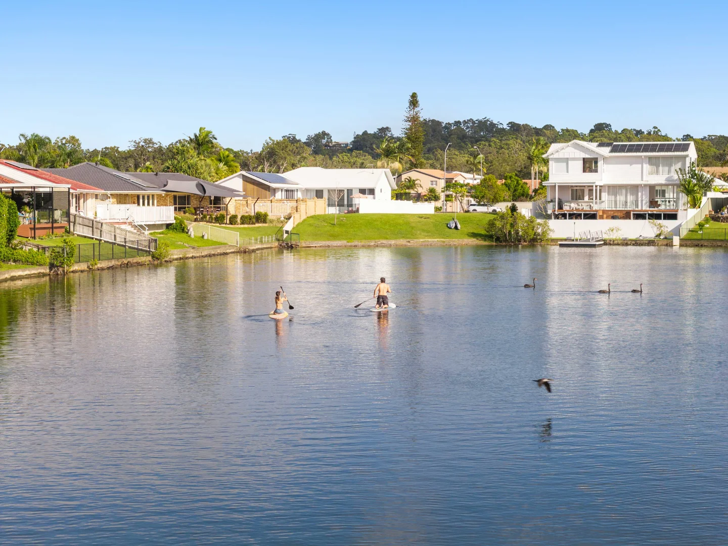 Additional image 31 of 207 Nineteenth Avenue, Elanora QLD 4221